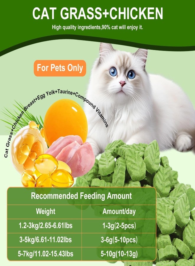 SuPruida 80g Cat Grass Treats for Indoor Cats, Freezed Drying Cat Grass Teething Stick for Hairball Remove Treatment Teeth Cleaning and Dental Care, Edible Kitty Chew Toy Snack - Image 2